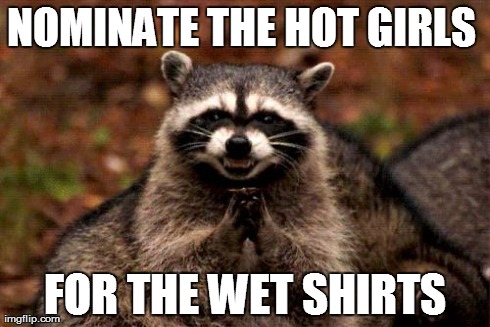 Evil Plotting Raccoon | NOMINATE THE HOT GIRLS  FOR THE WET SHIRTS | image tagged in memes,evil plotting raccoon | made w/ Imgflip meme maker