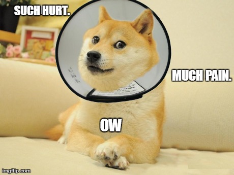 Such Hurt | SUCH HURT. OW MUCH PAIN. | image tagged in doge,memes | made w/ Imgflip meme maker