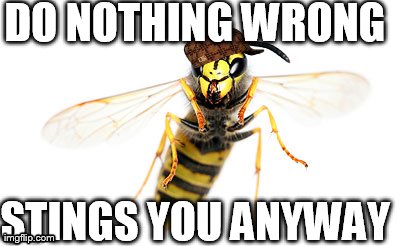 Scumbag Yellow Jacket | DO NOTHING WRONG STINGS YOU ANYWAY | image tagged in memes,scumbag | made w/ Imgflip meme maker