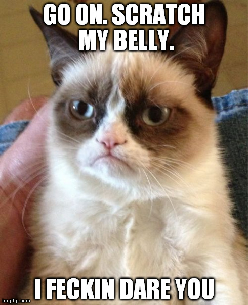 Grumpy Cat Meme | GO ON. SCRATCH MY BELLY. I FECKIN DARE YOU | image tagged in memes,grumpy cat | made w/ Imgflip meme maker