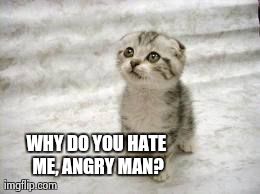 Sad Cat Meme | WHY DO YOU HATE ME, ANGRY MAN? | image tagged in memes,sad cat | made w/ Imgflip meme maker