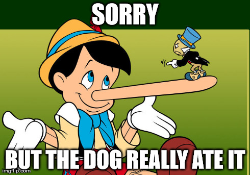 LIES, ALL LIES | SORRY BUT THE DOG REALLY ATE IT | image tagged in memes,funny,lie,cartoons,cartoon,comics/cartoons | made w/ Imgflip meme maker