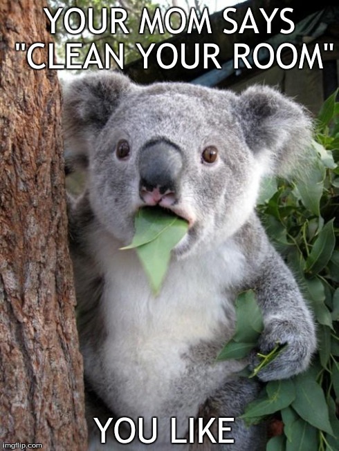 Surprised Koala | YOUR MOM SAYS "CLEAN YOUR ROOM" YOU LIKE | image tagged in memes,surprised koala | made w/ Imgflip meme maker