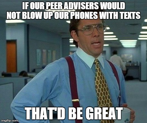 Peer Advicers | IF OUR PEER ADVISERS WOULD NOT BLOW UP OUR PHONES WITH TEXTS  THAT'D BE GREAT | image tagged in memes,that would be great,peer advisers,college freshman,college life | made w/ Imgflip meme maker