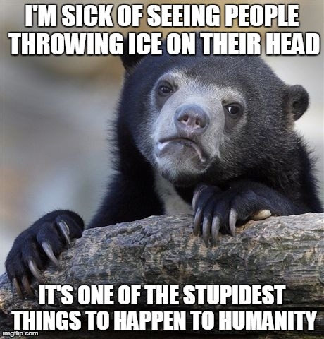 Confession Bear Meme | I'M SICK OF SEEING PEOPLE THROWING ICE ON THEIR HEAD IT'S ONE OF THE STUPIDEST THINGS TO HAPPEN TO HUMANITY | image tagged in memes,confession bear | made w/ Imgflip meme maker
