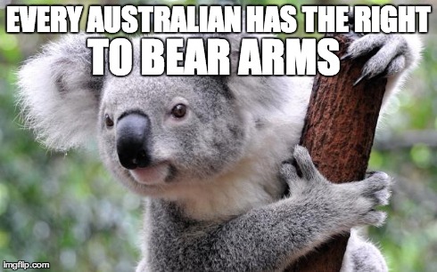 EVERY AUSTRALIAN HAS THE RIGHT TO BEAR ARMS | image tagged in bear arms | made w/ Imgflip meme maker