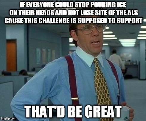 That Would Be Great | IF EVERYONE COULD STOP POURING ICE ON THEIR HEADS AND NOT LOSE SITE OF THE ALS CAUSE THIS CHALLENGE IS SUPPOSED TO SUPPORT THAT'D BE GREAT | image tagged in memes,that would be great | made w/ Imgflip meme maker