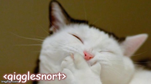 Laughing Cat | <gigglesnort> | image tagged in laughing cat | made w/ Imgflip meme maker