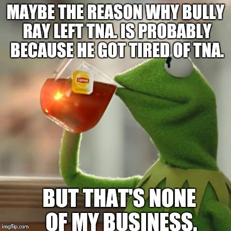 But That's None Of My Business Meme | MAYBE THE REASON WHY BULLY RAY LEFT TNA. IS PROBABLY BECAUSE HE GOT TIRED OF TNA. BUT THAT'S NONE OF MY BUSINESS. | image tagged in memes,but thats none of my business,kermit the frog | made w/ Imgflip meme maker