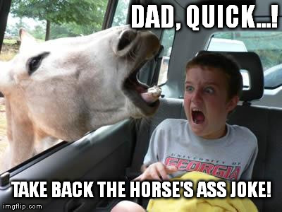 horsesass | DAD, QUICK...! TAKE BACK THE HORSE'S ASS JOKE! | image tagged in horsesass | made w/ Imgflip meme maker