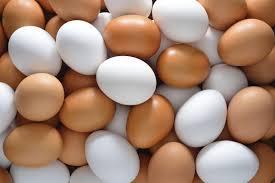 High Quality eggs Blank Meme Template