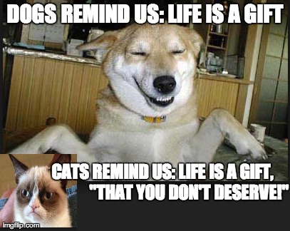Cats vs Dogs | DOGS REMIND US: LIFE IS A GIFT CATS REMIND US: LIFE IS A GIFT,               "THAT YOU DON'T DESERVE!" | image tagged in grumpy cat,dog,life,gift,deserve | made w/ Imgflip meme maker