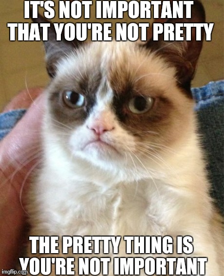 Grumpy Cat | IT'S NOT IMPORTANT THAT YOU'RE NOT PRETTY THE PRETTY THING IS YOU'RE NOT IMPORTANT | image tagged in memes,grumpy cat | made w/ Imgflip meme maker
