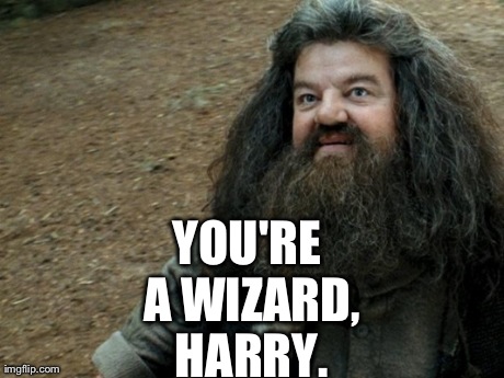 YOU'RE A WIZARD, HARRY. | made w/ Imgflip meme maker