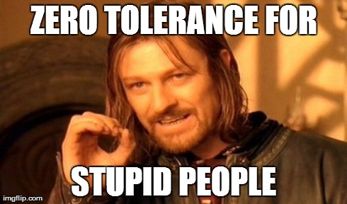 One Does Not Simply Meme | ZERO TOLERANCE FOR STUPID PEOPLE | image tagged in memes,one does not simply | made w/ Imgflip meme maker