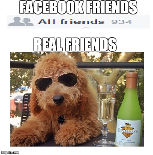 FACEBOOK FRIENDS REAL FRIENDS | image tagged in dogpictures | made w/ Imgflip meme maker