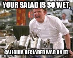 Gordon ramsey | YOUR SALAD IS SO WET, CALIGULA DECLARED WAR ON IT! | image tagged in gordon ramsey | made w/ Imgflip meme maker