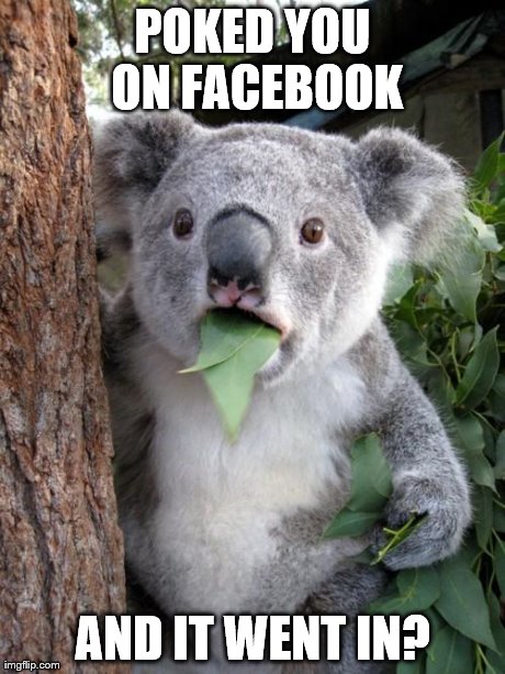 Surprised Koala Meme | POKED YOU ON FACEBOOK AND IT WENT IN? | image tagged in memes,surprised koala | made w/ Imgflip meme maker