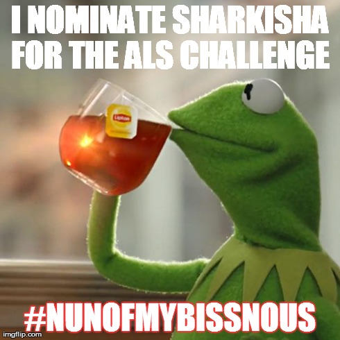 But That's None Of My Business Meme | I NOMINATE SHARKISHA FOR THE ALS CHALLENGE  #NUNOFMYBISSNOUS | image tagged in memes,but thats none of my business,kermit the frog | made w/ Imgflip meme maker