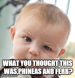 People complaining that school starting soon. | WHAT YOU THOUGHT THIS WAS,PHINEAS AND FERB? | image tagged in memes,skeptical baby | made w/ Imgflip meme maker