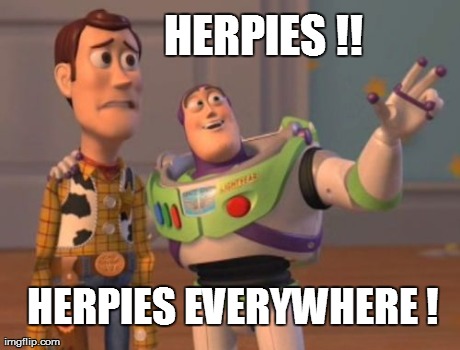 herpies | HERPIES !! HERPIES EVERYWHERE ! | image tagged in memes,x x everywhere | made w/ Imgflip meme maker