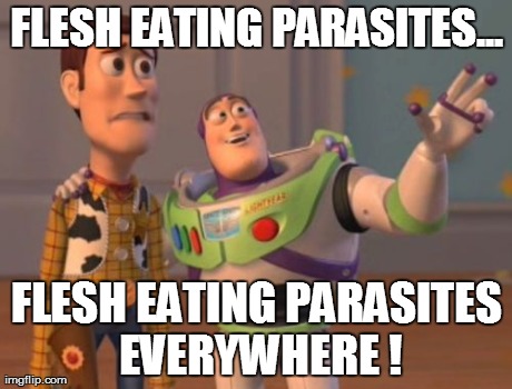 parasites | FLESH EATING PARASITES... FLESH EATING PARASITES EVERYWHERE ! | image tagged in memes,x x everywhere | made w/ Imgflip meme maker