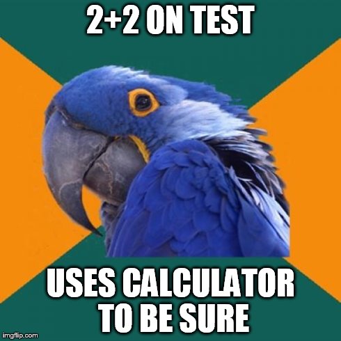 Paranoid Parrot Meme | 2+2 ON TEST USES CALCULATOR TO BE SURE | image tagged in memes,paranoid parrot | made w/ Imgflip meme maker