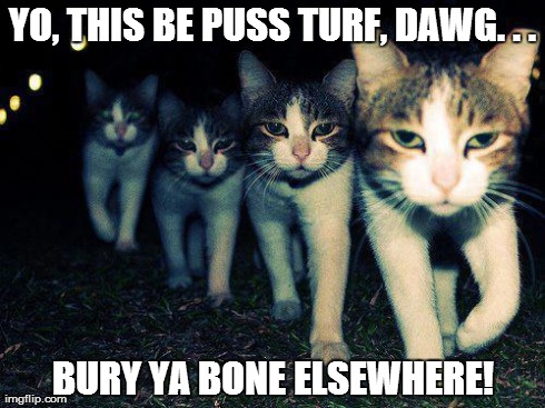 Wrong Neighboorhood Cats Meme | YO, THIS BE PUSS TURF, DAWG. . . BURY YA BONE ELSEWHERE! | image tagged in memes,wrong neighboorhood cats | made w/ Imgflip meme maker
