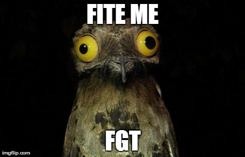 Weird Stuff I Do Potoo Meme | FITE ME FGT | image tagged in memes,weird stuff i do potoo | made w/ Imgflip meme maker