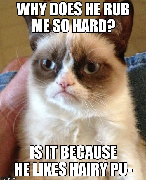 Grumpy Cat | WHY DOES HE RUB ME SO HARD?  IS IT BECAUSE HE LIKES HAIRY PU- | image tagged in memes,grumpy cat | made w/ Imgflip meme maker