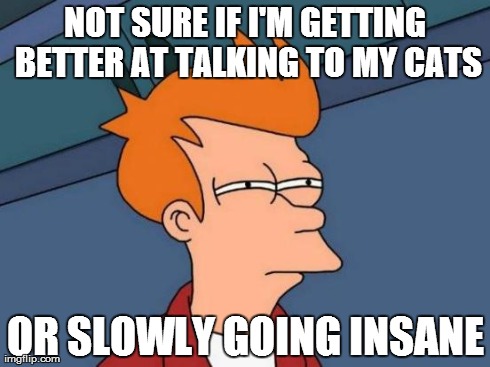 Futurama Fry Meme | NOT SURE IF I'M GETTING BETTER AT TALKING TO MY CATS OR SLOWLY GOING INSANE | image tagged in memes,futurama fry,AdviceAnimals | made w/ Imgflip meme maker