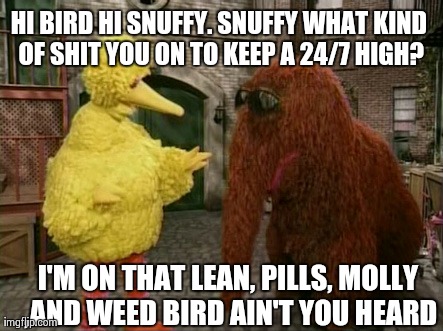 Big Bird And Snuffy Meme | HI BIRD HI SNUFFY. SNUFFY WHAT KIND OF SHIT YOU ON TO KEEP A 24/7 HIGH? I'M ON THAT LEAN, PILLS, MOLLY ,AND WEED BIRD AIN'T YOU HEARD | image tagged in memes,big bird and snuffy | made w/ Imgflip meme maker