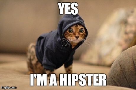 Hoody Cat | YES I'M A HIPSTER | image tagged in memes,hoody cat | made w/ Imgflip meme maker