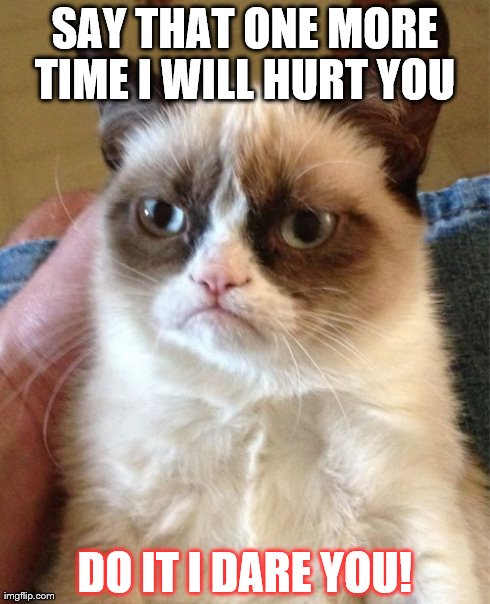 Grumpy Cat | SAY THAT ONE MORE TIME I WILL HURT YOU  DO IT I DARE YOU! | image tagged in memes,grumpy cat | made w/ Imgflip meme maker