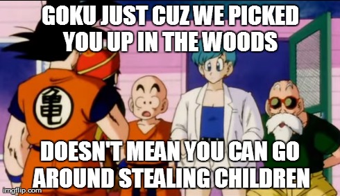 TFS Abridged Hilarious Quote | GOKU JUST CUZ WE PICKED YOU UP IN THE WOODS DOESN'T MEAN YOU CAN GO AROUND STEALING CHILDREN | image tagged in dragonballz | made w/ Imgflip meme maker