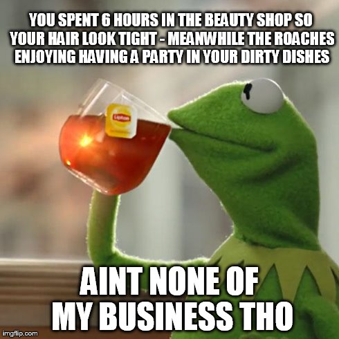But That's None Of My Business Meme | YOU SPENT 6 HOURS IN THE BEAUTY SHOP SO YOUR HAIR LOOK TIGHT - MEANWHILE THE ROACHES ENJOYING HAVING A PARTY IN YOUR DIRTY DISHES AINT NONE  | image tagged in memes,but thats none of my business,kermit the frog | made w/ Imgflip meme maker