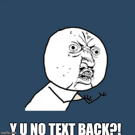 Y U No Meme | Y U NO TEXT BACK?! | image tagged in memes,y u no | made w/ Imgflip meme maker