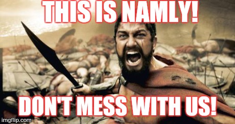 Sparta Leonidas | THIS IS NAMLY! DON'T MESS WITH US! | image tagged in memes,sparta leonidas | made w/ Imgflip meme maker