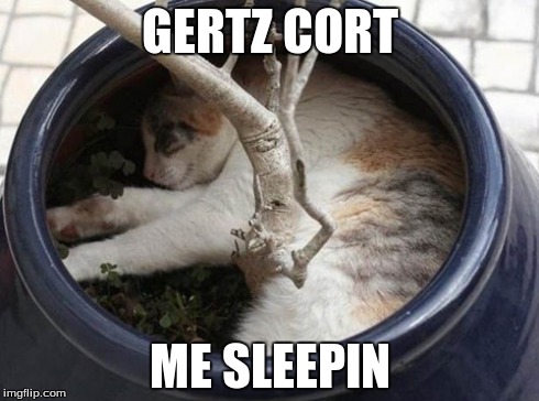 GERTZ CORT ME SLEEPIN | made w/ Imgflip meme maker