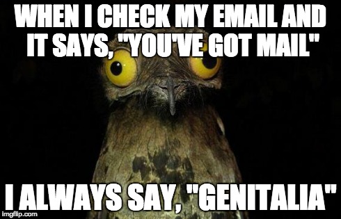 Weird Stuff I Do Potoo | WHEN I CHECK MY EMAIL AND IT SAYS, "YOU'VE GOT MAIL" I ALWAYS SAY, "GENITALIA" | image tagged in memes,weird stuff i do potoo | made w/ Imgflip meme maker