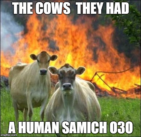 Evil Cows | THE COWS  THEY HAD A HUMAN SAMICH O3O | image tagged in memes,evil cows | made w/ Imgflip meme maker