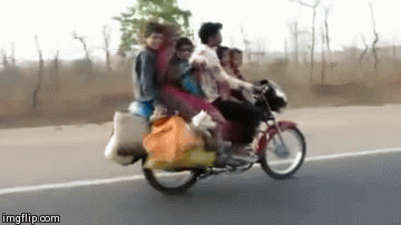 family car | image tagged in gifs,even the dog | made w/ Imgflip video-to-gif maker