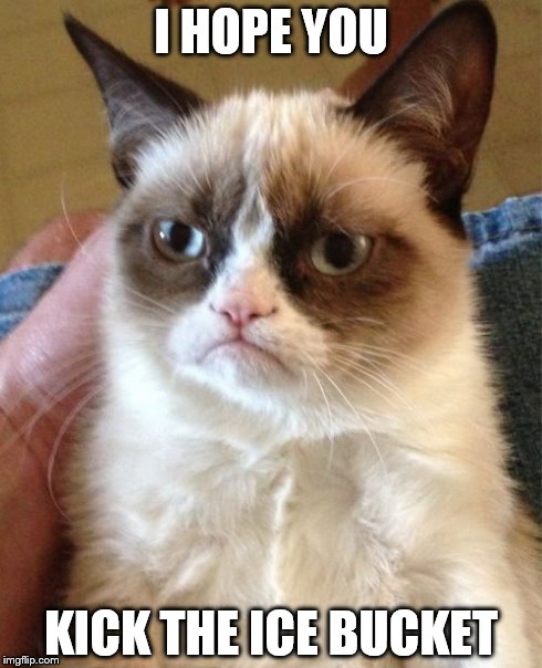 Grumpy Cat Meme | I HOPE YOU KICK THE ICE BUCKET | image tagged in memes,grumpy cat | made w/ Imgflip meme maker