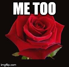 ME TOO | image tagged in rose | made w/ Imgflip meme maker
