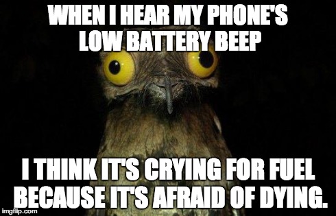 Crazy eyed bird | WHEN I HEAR MY PHONE'S LOW BATTERY BEEP I THINK IT'S CRYING FOR FUEL BECAUSE IT'S AFRAID OF DYING. | image tagged in crazy eyed bird,AdviceAnimals | made w/ Imgflip meme maker