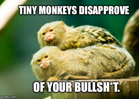 Tiny Monkeys. | OF YOUR BULLSH*T. TINY MONKEYS DISAPPROVE | image tagged in tiny monkeys | made w/ Imgflip meme maker