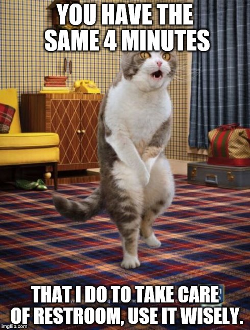 Gotta Go Cat | YOU HAVE THE SAME 4 MINUTES THAT I DO TO TAKE CARE OF RESTROOM, USE IT WISELY. | image tagged in memes,gotta go cat | made w/ Imgflip meme maker