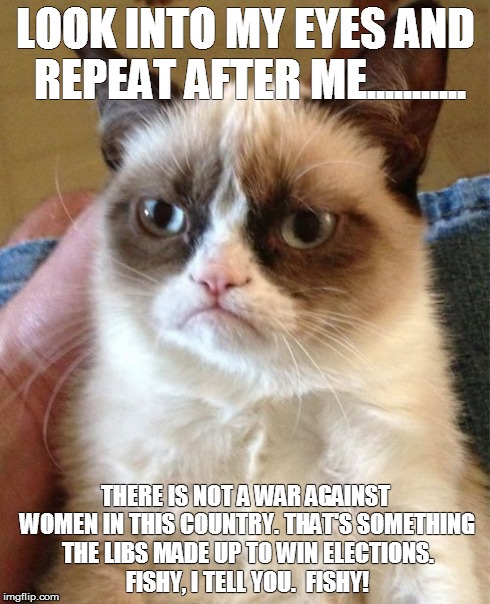 Grumpy Cat | LOOK INTO MY EYES AND REPEAT AFTER ME........... THERE IS NOT A WAR AGAINST WOMEN IN THIS COUNTRY. THAT'S SOMETHING THE LIBS MADE UP TO WIN  | image tagged in memes,grumpy cat | made w/ Imgflip meme maker