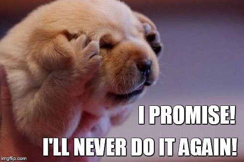 I PROMISE!  I'LL NEVER DO IT AGAIN! | made w/ Imgflip meme maker