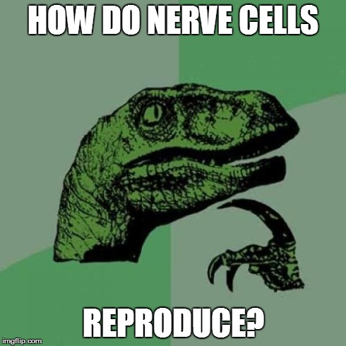 Philosoraptor | HOW DO NERVE CELLS REPRODUCE? | image tagged in memes,philosoraptor | made w/ Imgflip meme maker